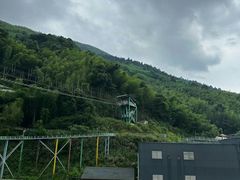 -长沙黑麋峰国家森林公园