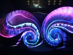 -贝壳梦幻世界
