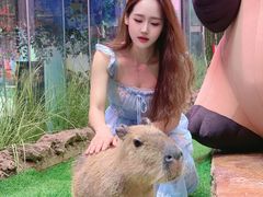 -正佳雨林生态植物园