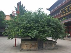 -章华寺