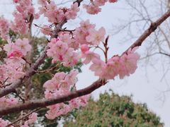 -堤角公园