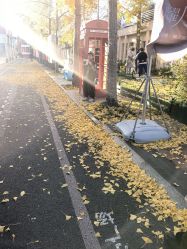 -爱儿美儿童摄影(五路居花园别墅店)