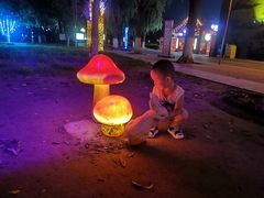 -北戴河集发农业梦想王国