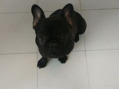 -喵汪宠物生活馆(涞坊路店)