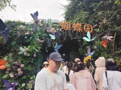 -野象谷景区