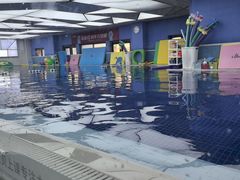 -龙格亲子游泳·水育早教运动中心(绿城店)