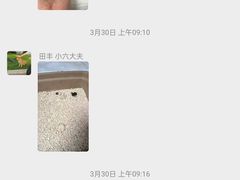 -中农大我爱我爱24h动物医院·中医针灸·猫专科·骨科医疗中心(双井店)