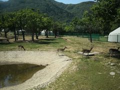 -西安秦岭野生动物园