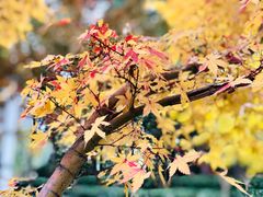 -苏州河梦清园环保主题公园