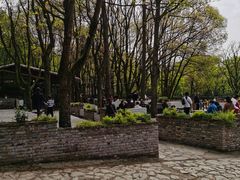 -WeLope紫金山探险公园
