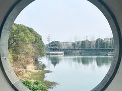 -八大山人梅湖景区