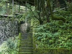 -西芳寺(苔寺)