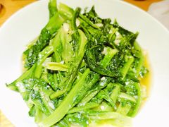 清炒油麦菜-龚兴城鱼羊吉·家传湖北菜(苗栗路总店)