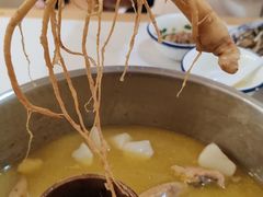 -朴小妹人参鸡汤火锅(长白山万达店)