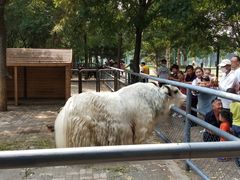 -长白岛森林公园