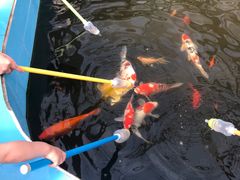 -兴芮温泉度假区