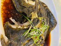 清蒸多宝鱼-登瀛楼饭庄(领世郡店)