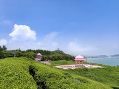 -漳州滨海火山岛自然生态风景区