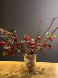 -G-STEPS舞蹈工作室