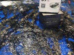 -盒马鲜生(顺义店)