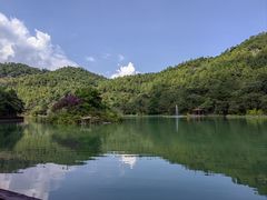 -广州白江湖森林公园