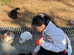 -北京中信金陵酒店