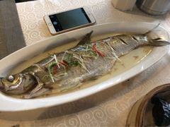 太湖大白鱼-江南原著(中联广场店)
