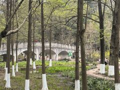 -重庆彩云湖湿地公园