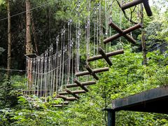 -梦幻奥陶纪景区