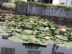 -杭州城北体育公园