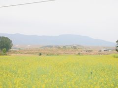 -光明小镇欢乐田园