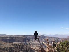 -科罗拉多大峡谷