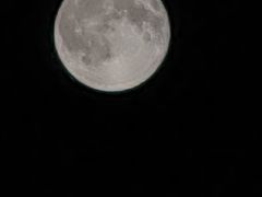 -圣·阿列克谢耶夫教堂