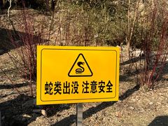 -白水寺森林公园
