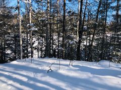 -峡谷浮石林景区