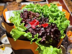 -野人部落(沈阳一店)