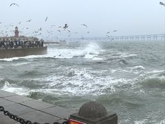 -星海广场