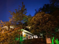 -龙井壹号·茶缘山景宴(龙井村店)