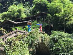 -三峡人家风景区