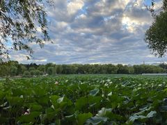 -长春市南湖公园