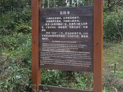 -庐山风景区花径公园