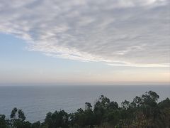 -广东惠东海龟国家级自然保护区