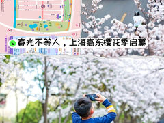 -高东镇樱花园