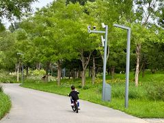 -东郊湿地公园