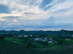 -帐篷客·溪龙茶谷度假酒店