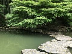 -杭州植物园