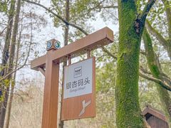 -同里国家湿地公园