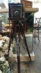 -日光视觉婚纱摄影(旗舰店)