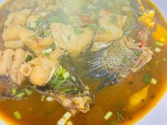 -全乐鱼馆·淳牌有机鱼直营店