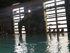 -南宫温泉水世界